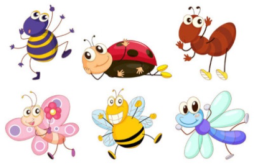 Photo for Lime Creek Littles - Exciting Insects