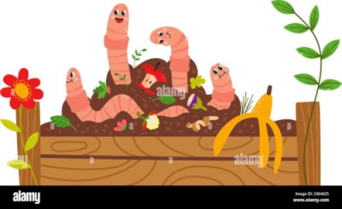Photo for Lime Creek Littles - Wacky Worms