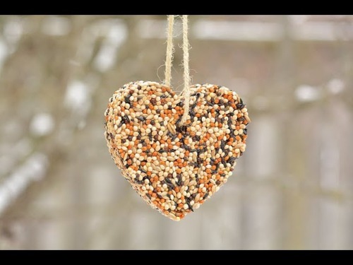 Photo for Make & Take Birdseed Ornaments